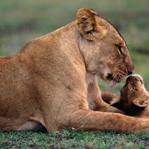 Meet your Posher, Richard